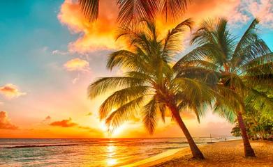 旅游綠皮書 2019~2020年中國國內(nèi)旅游業(yè)務(wù)發(fā)展分析與預(yù)測(cè)